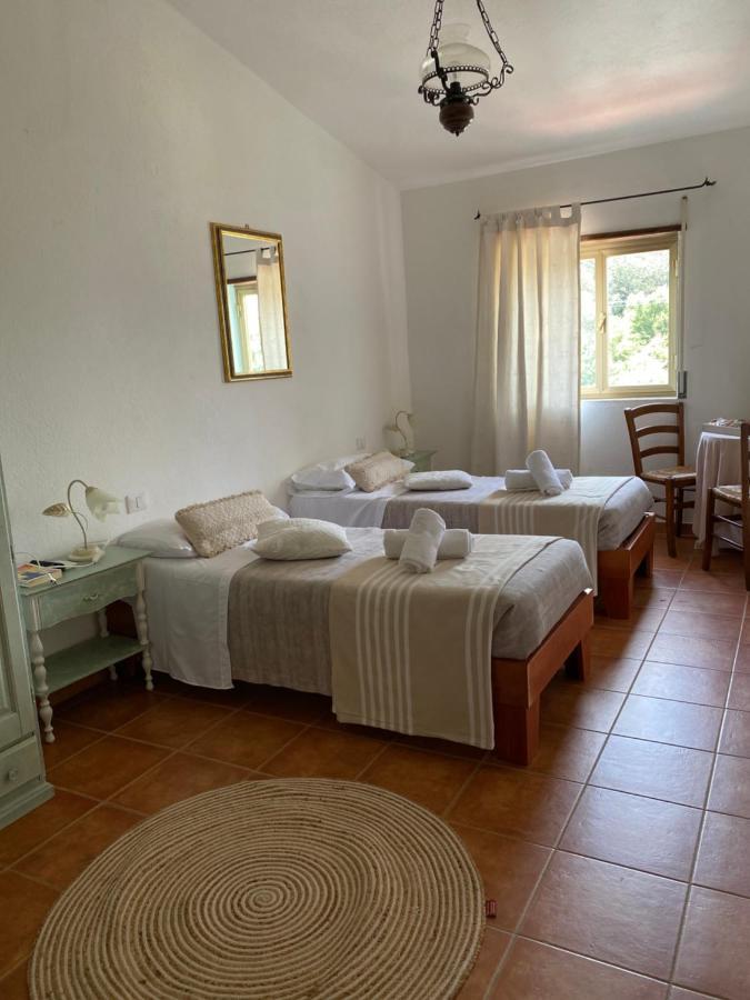 B&B La Pitraia Sant'Antonio di Gallura Dış mekan fotoğraf