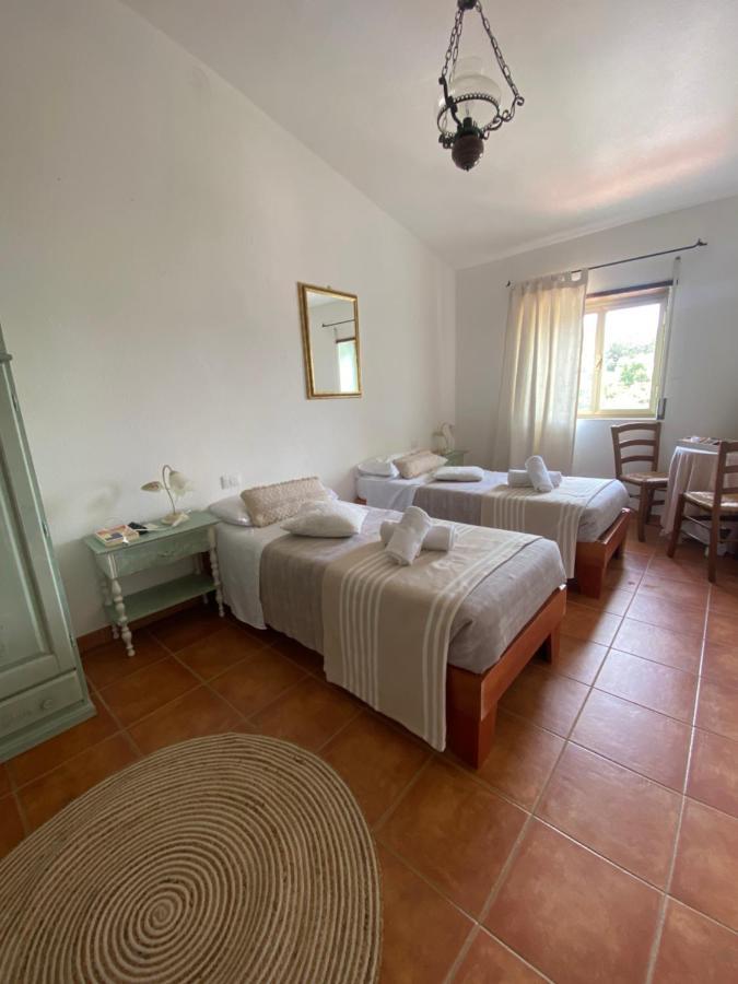 B&B La Pitraia Sant'Antonio di Gallura Dış mekan fotoğraf